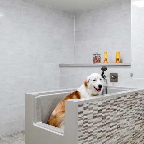 Dog Wash dog wash room with ample lighting