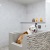 dog wash room with ample lighting